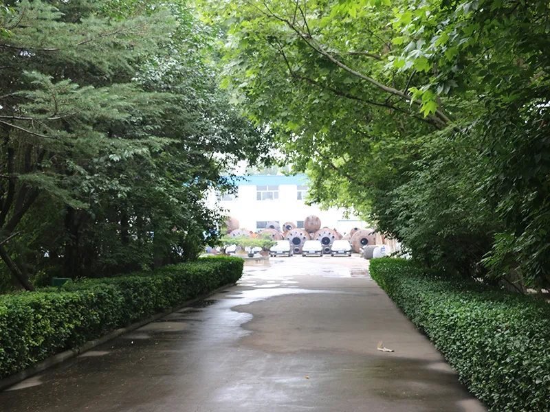 沿道の植栽